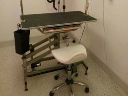 picture of Toilettage Jennifer. B