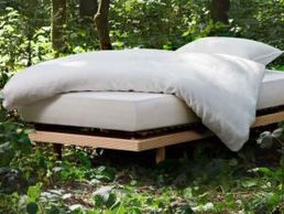 immagine di Barbey Fils SA -