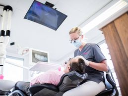 picture of ZahnInsel