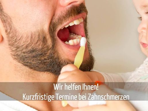 picture of ZahnInsel