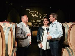 picture of Badouxthèque