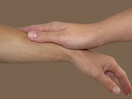 picture of Centaurée Centre de thérapies complémentaires