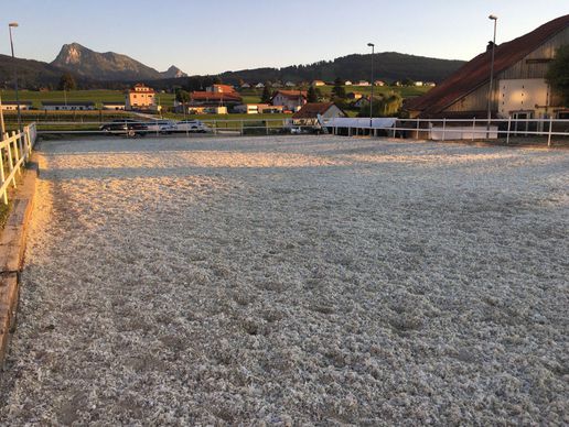 immagine di Centre équestre les Kà