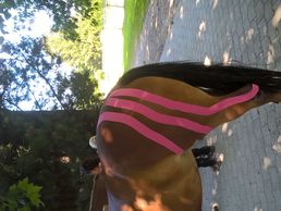 immagine di PhysioHorse