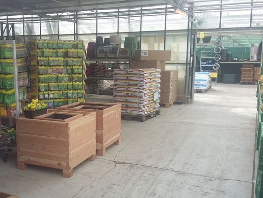 image de Landi Lully