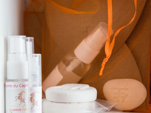 picture of Cosmos Nature