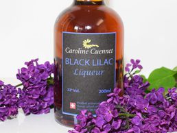 Bild zu Domaine le Pontet