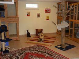 immagine di Tierferienheim Chutzenwäldli GmbH