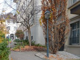 immagine di Lorène Colomb, Étiopathe