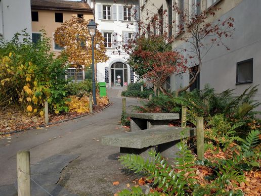 immagine di Lorène Colomb, Étiopathe