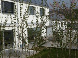 picture of Holzbau Hofmann Dänzer AG