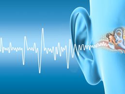 immagine di Neuro-Hörtherapie