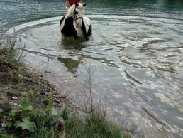 picture of Manège de Monthey