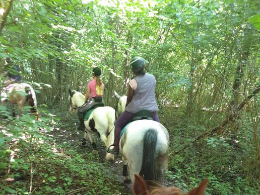 picture of Manège de Monthey