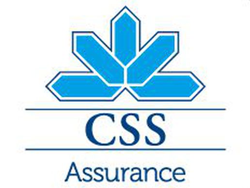 Bild zu CSS Assurance