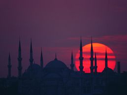 picture of MedicalTravel GmbH