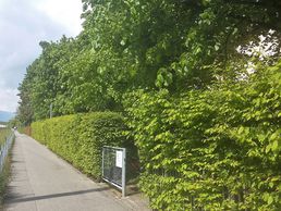 picture of Favarger Christine