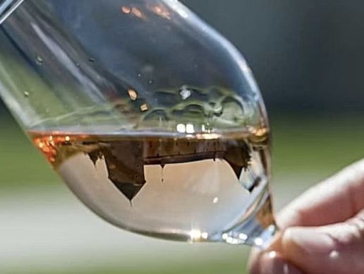 image de Passionnément'vin Angélique Werner