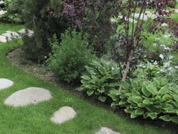 immagine di Bangerter Gartenbau AG