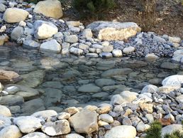 immagine di Bangerter Gartenbau AG