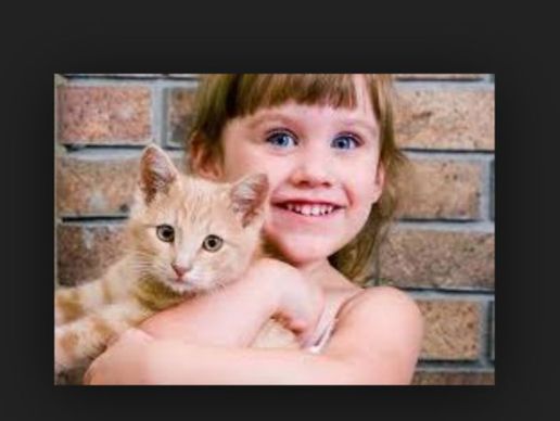 Bild zu Cabinet Vétérinaire de Vésenaz