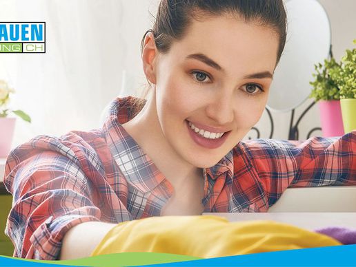 Bild zu Putzfrauenvermittlung.ch City-Ursprung GmbH