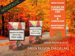 immagine di Smoke from the bong