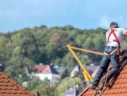 picture of Roof - Technique du Toit