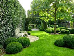 picture of Garden Center Meier