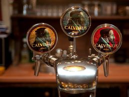 immagine di le Nyamuk