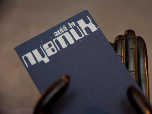 immagine di le Nyamuk