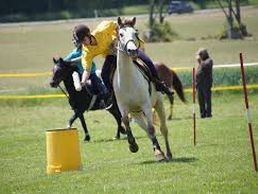 Bild zu Ranch Blackyland