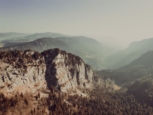 picture of Brief communication