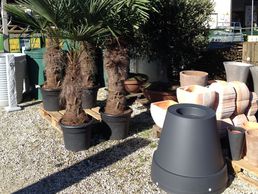 picture of Landi Meinier