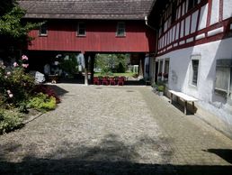 picture of Fazenda da Esperanca Trägerverein