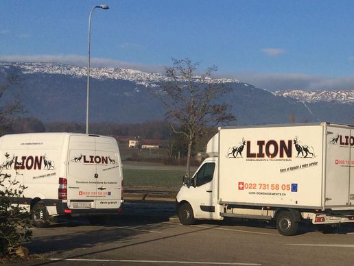 immagine di Lion Déménagements et Transports Sàrl