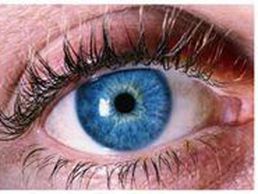 image de Santé en Main - Laetitia Sevère