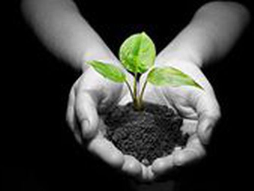 image de Santé en Main - Laetitia Sevère