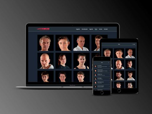 picture of sahli:interactive