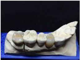 Bild zu Meinhardt Jean-Charles