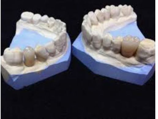 Bild zu Meinhardt Jean-Charles