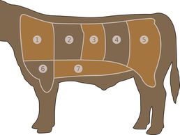 picture of Chappot Christophe