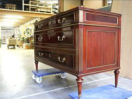 Bild zu Pavone Dominique