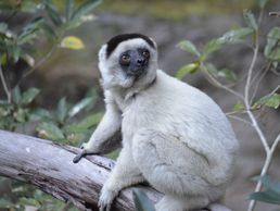 image de PRIORI Reisen GmbH