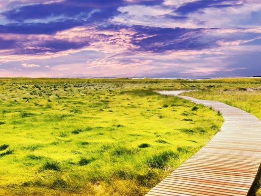 image de Diez Elizabeth