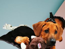 picture of Freddy Hüsser Marketing Akademie & Coachings