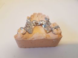 immagine di Marcuzzo Mauro