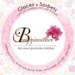 picture of Glaces & Sorbets BOUGAINVILLIER