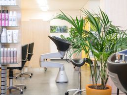 image de Coiffure Sunneschy