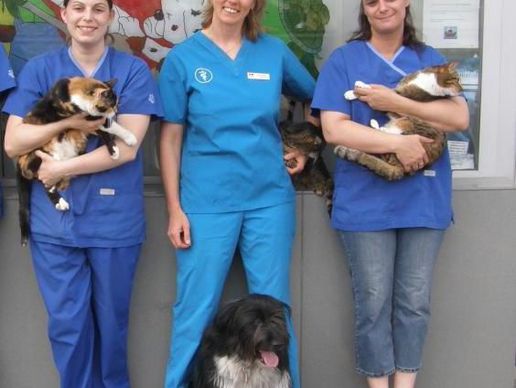 picture of Vétérinaire Au-Petit-Chat